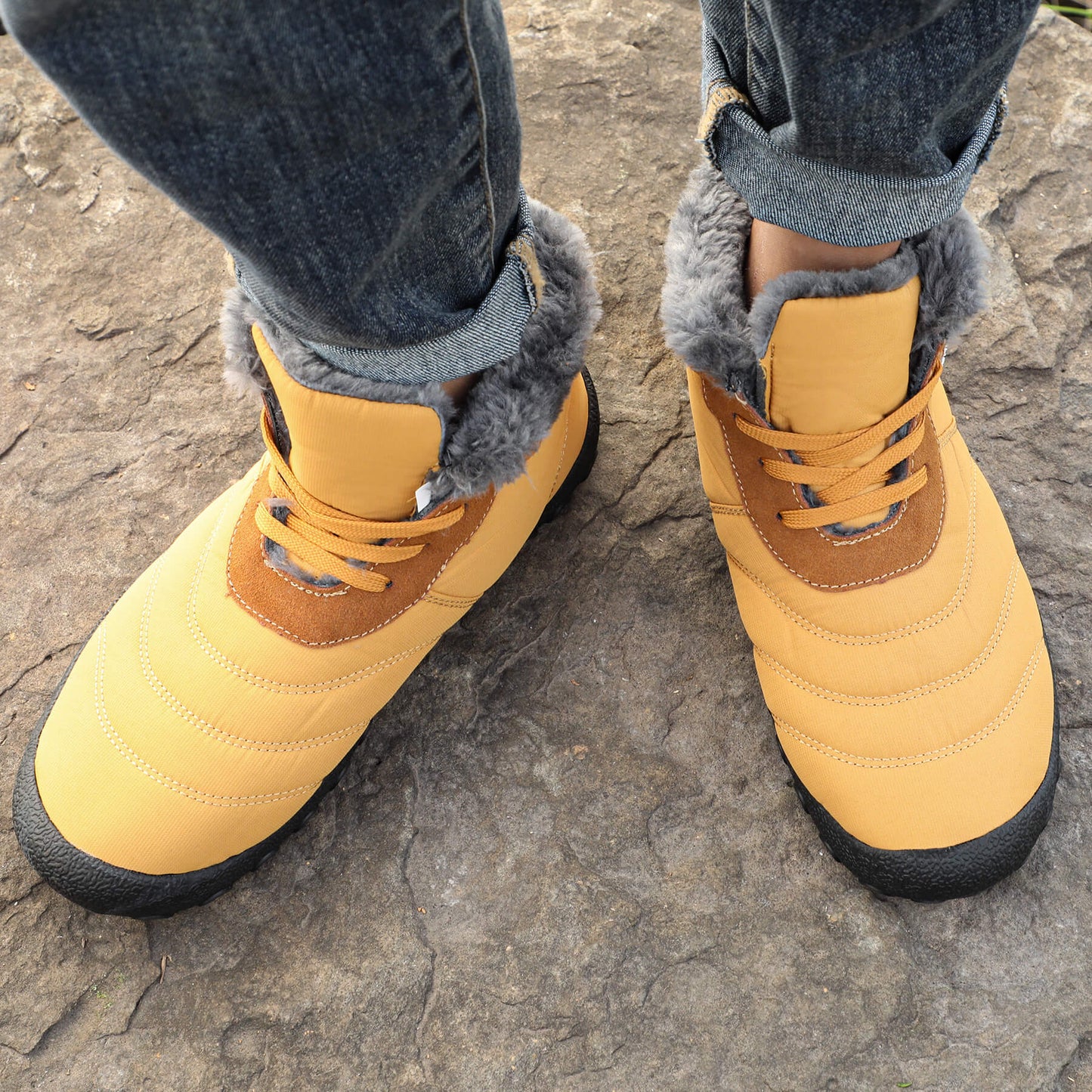 Winter Pro 2.0