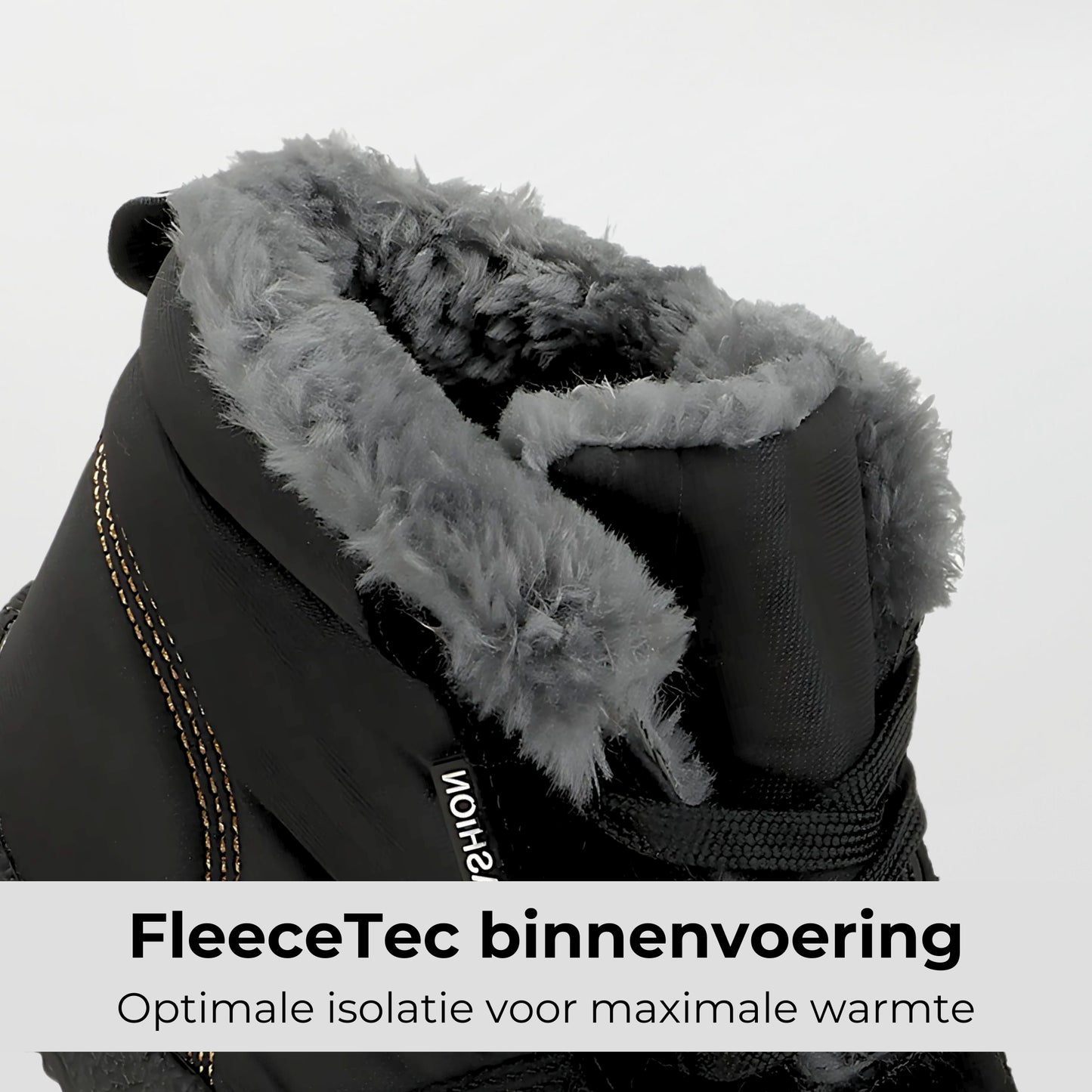 Winter Pro 2.0