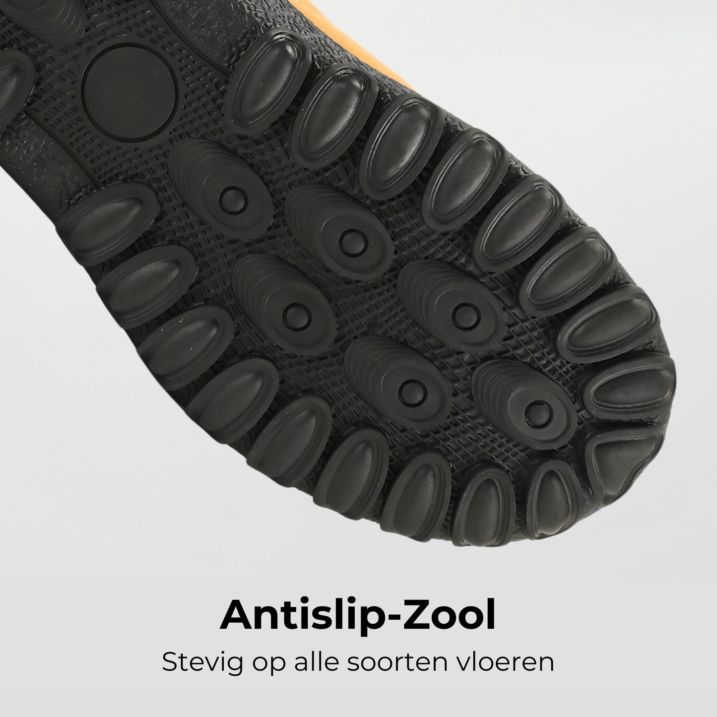 Winter Pro 2.0