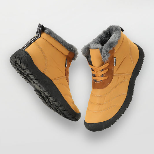 Winter Pro 2.0